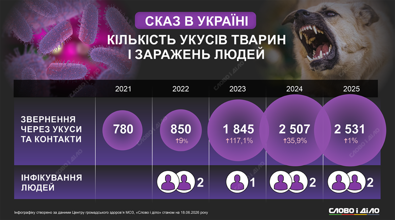 Бешенство в Украине – количество обращений, количество зараженных, самое важное Слово и дело показывает на инфографике статистику обращений и смертей из-за самой смертоносной инфекционной болезни человека – бешенства.