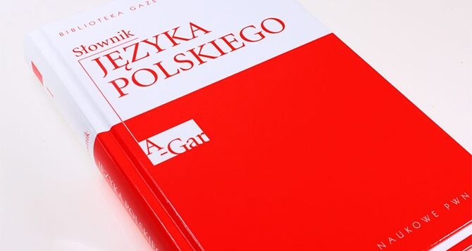 Польский язык могут включить в список предметов, по которым выпускники будут сдавать ВНО. Такую возможность рассматривает украинское правительство.