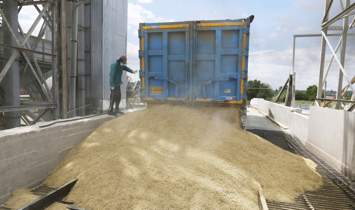 Под ограничения могут попасть украинские зерновые и масличные культуры. Деа отметил, что в случае принятия соответствующего решения запрет будет действовать до 5 июня.
