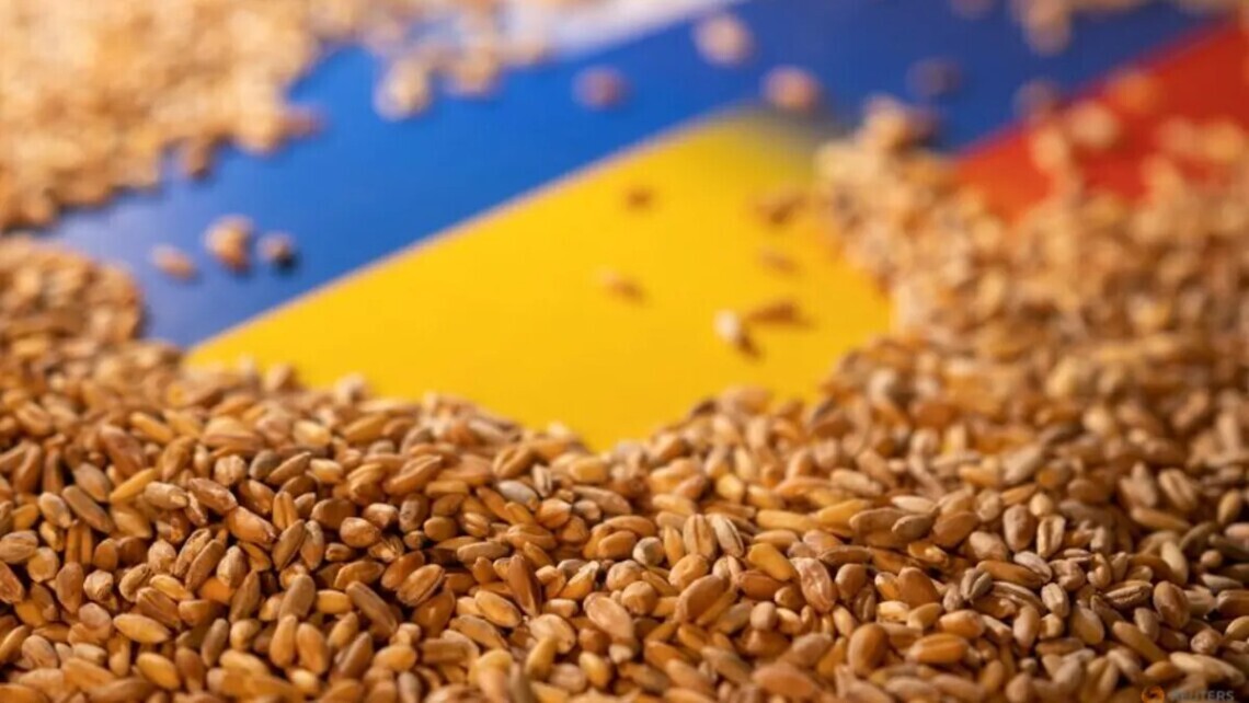 ЕС постепенно завершит до 15 сентября 2023 года исключительные и временные меры предосторожности, которые были приняты 2 мая 2023 по импорту пшеницы, кукурузы, семян рапса и подсолнечника из Украины.