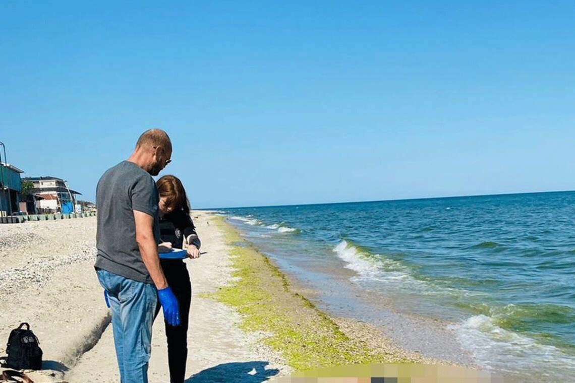 Пляжи Одесской области технически можно защитить от морских мин. В ВМС ВСУ рассказали, каким способом.