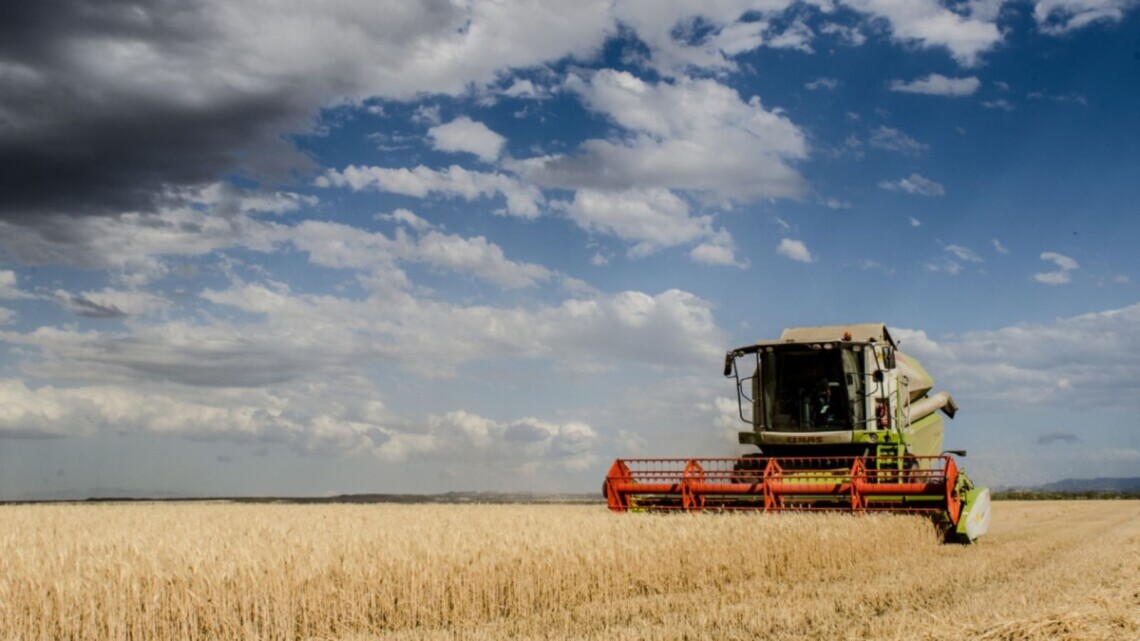 Польша, Болгария, Венгрия, Румыния и Словакия хотят продлить запрет на импорт украинского зерна.