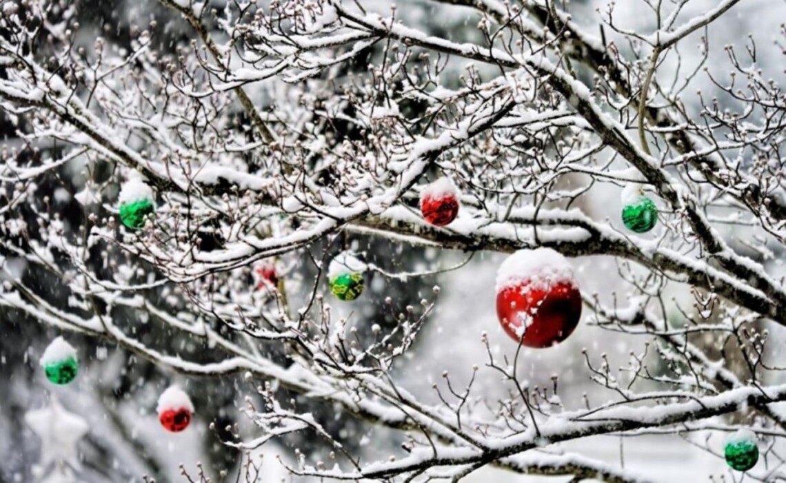 В Украине на Рождество, 25 декабря, ожидаются осадки в виде дождя и мокрого снега. Синоптики предупреждают о значительных порывах ветра.