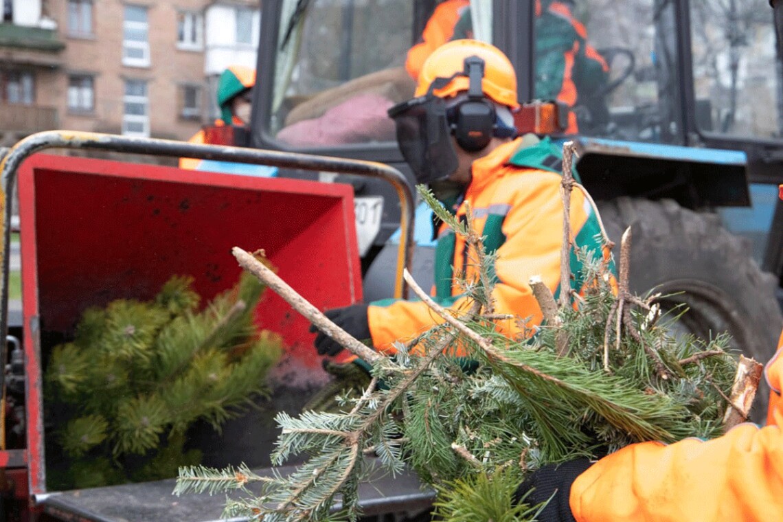 В Киеве заработают пункты утилизации новогодних елок — они будут открыты с 4 января в разных районах города.