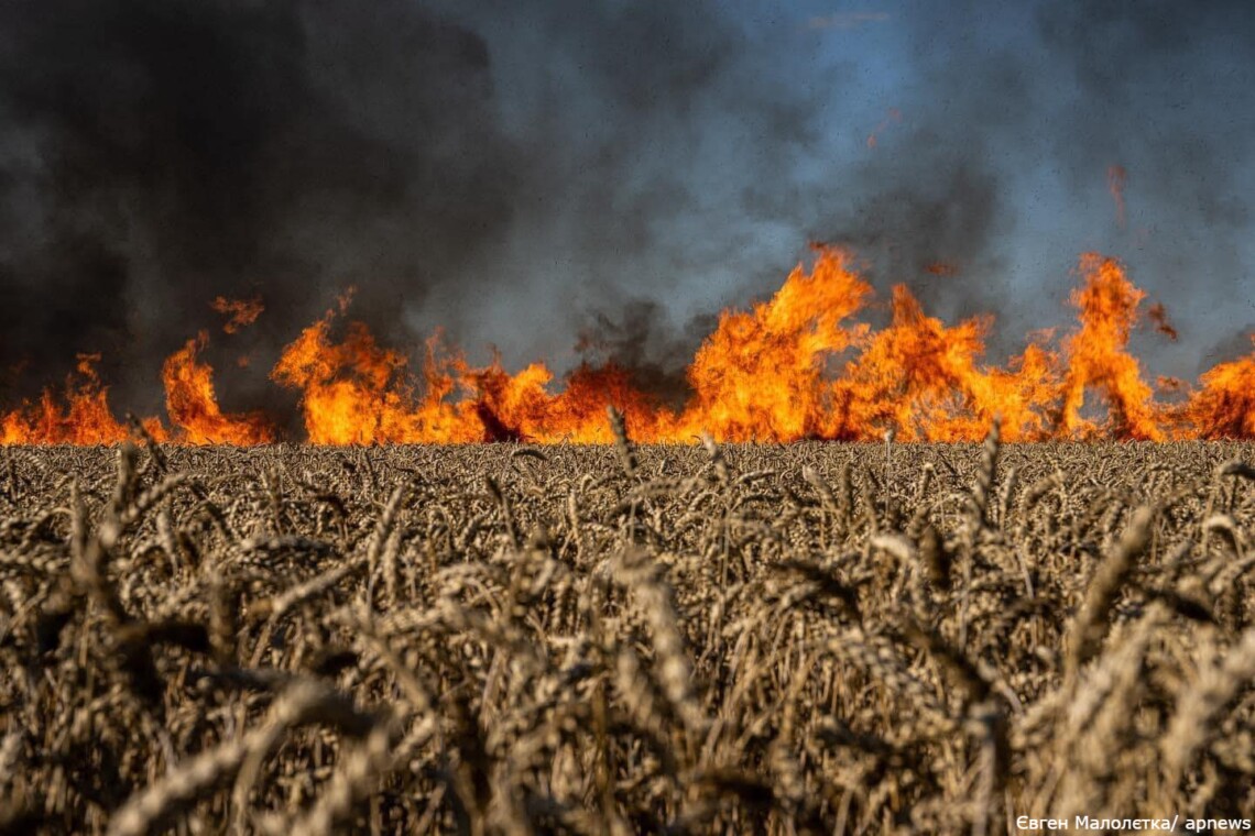 Ущерб окружающей среде из-за войны в Украине уже оценивается в 2,2 трлн гривен. Большинство ущерба – от выбросов загрязняющих веществ в атмосферный воздух.