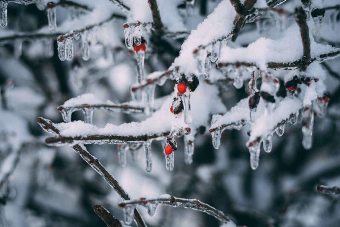 В феврале средняя месячная температура прогнозируется от 4 градусов мороза до 2 градусов тепла.