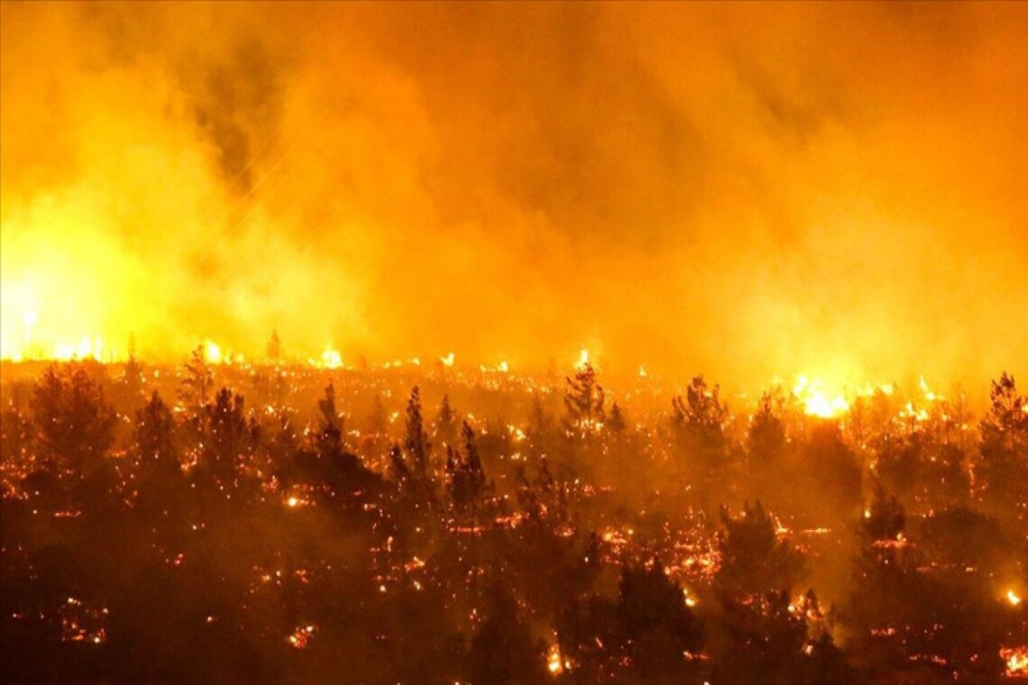 В Чили в результате лесных пожаров, охвативших значительные территории, погибли 112 человек, а более 1500 человек остались без домов.