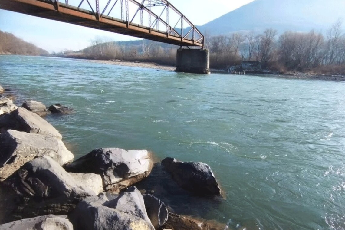 Стремительное течение реки Тиса на Закарпатье подмывает берег и несёт вниз все, что попало в воду.