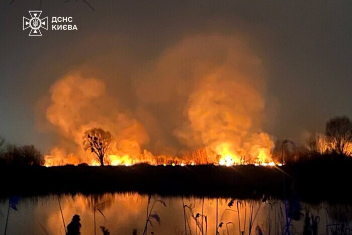 В Киеве горит значительная часть экопарка Осокорки, пресс-служба экопарка сообщила о поджоге.