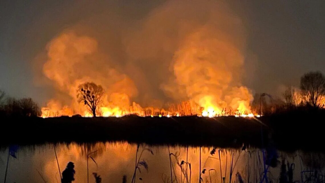 Из-за пожара выгорело около 3 гектаров территории, в том числе и часть ландшафтного заказника Осокорковские луга.
