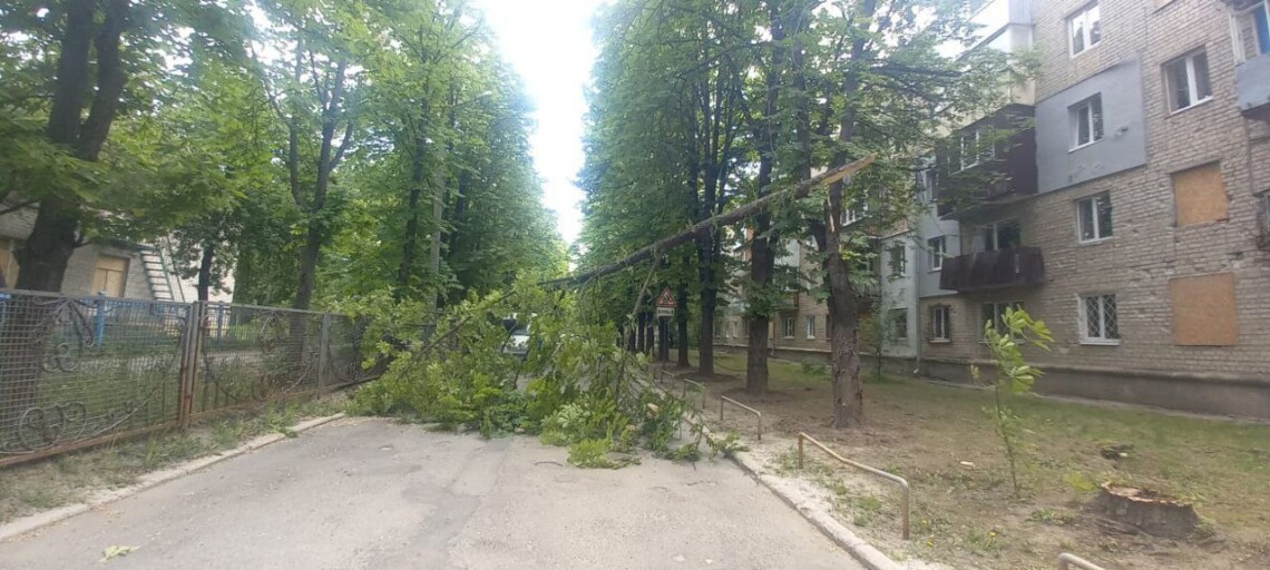 В Харькове из-за непогоды упали 14 деревьев и почти полсотни веток. Больше всего – в Индустриальном и Салтовском районах.