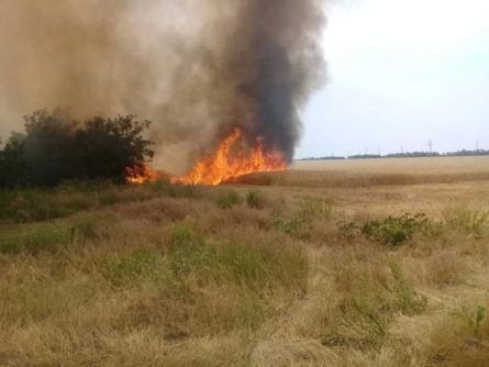 Неподалеку от города Очакова в Николаевской области произошел пожар на пшеничном поле. Огонь уничтожил 4,5 гектара пшеницы.