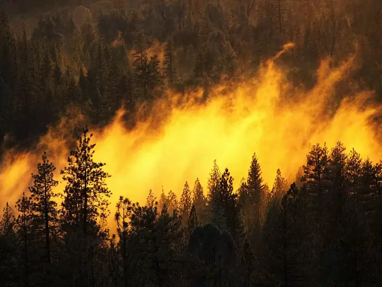 У Сибіру в РФ вже тиждень пожежами охоплена тайга. Користувачі пишуть в соцмережах, що в містах через дим не можна навіть за хлібом вийти.