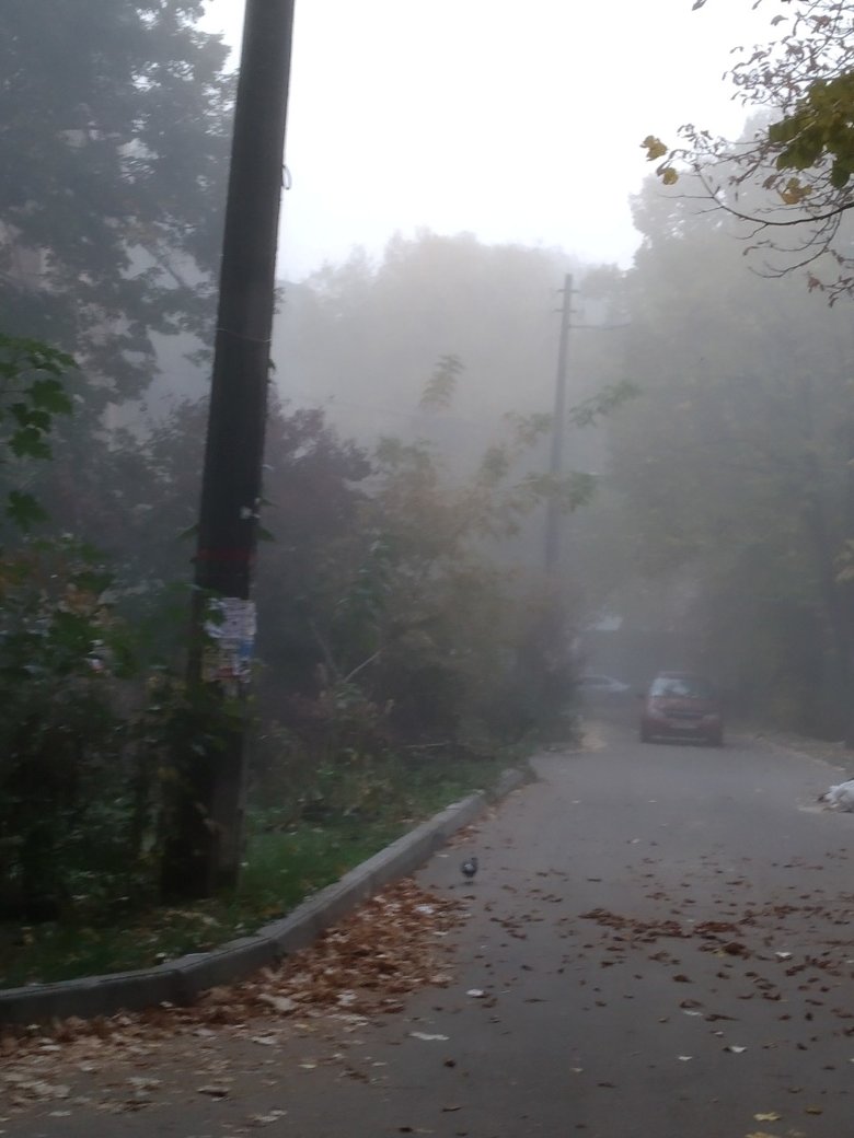 За прогнозами УкрГідрометценту, у найближчу годину з утриманням вранці 16 жовтня туман, видимість 200-500 м.