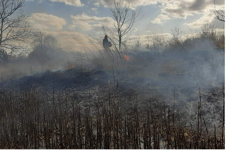 Пожар в Чернобыле. В зоне отчуждения и безусловного отселения в Киевской области открытого огня нет, но тушение тлеющих пней и древесины продолжается.