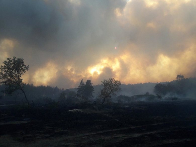 На Харківщині  осередки пожежі в населених пунктах Гороб’ївка та Грянинівка ліквідовано. Продовжують гасити вогонь у лісі.