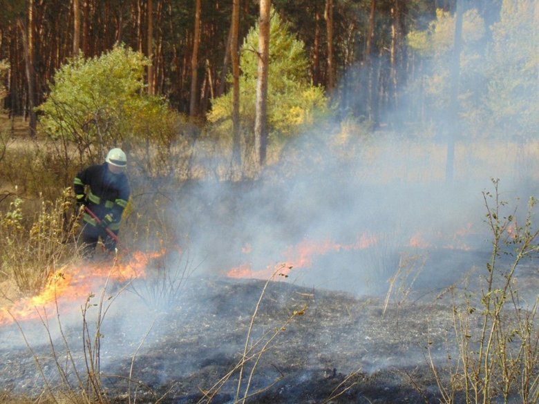 В Луганской области спасатели тушат пожары вблизи сел Трехизбенка, Кряковка, Муратово, Капитановое Новоайдарского района.