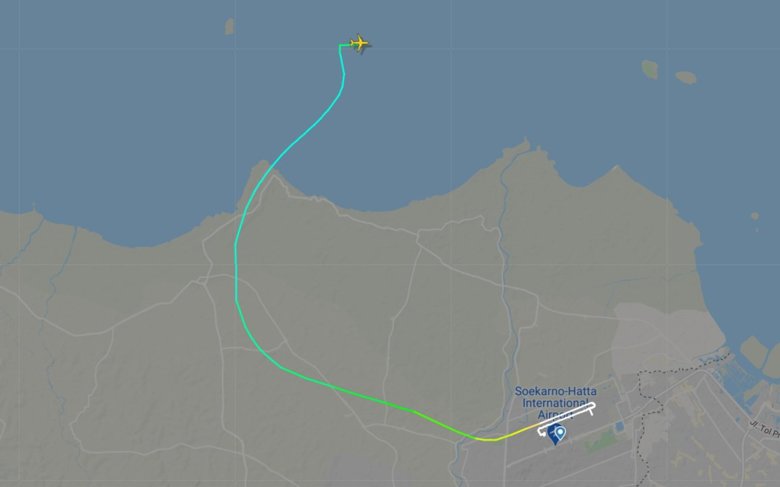 В Индонезии через несколько минут после вылета из аэропорта Джакарты с радаров пропал самолет с 59 пассажирами. Перед потерей связи Boeing потерял около 3 тысяч метров высоты.