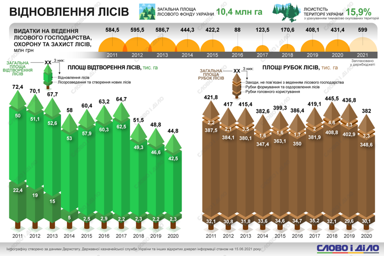 Сколько денег тратили на лесное хозяйство в Украине и какую площадь лесов удалось восстановить – на инфографике.