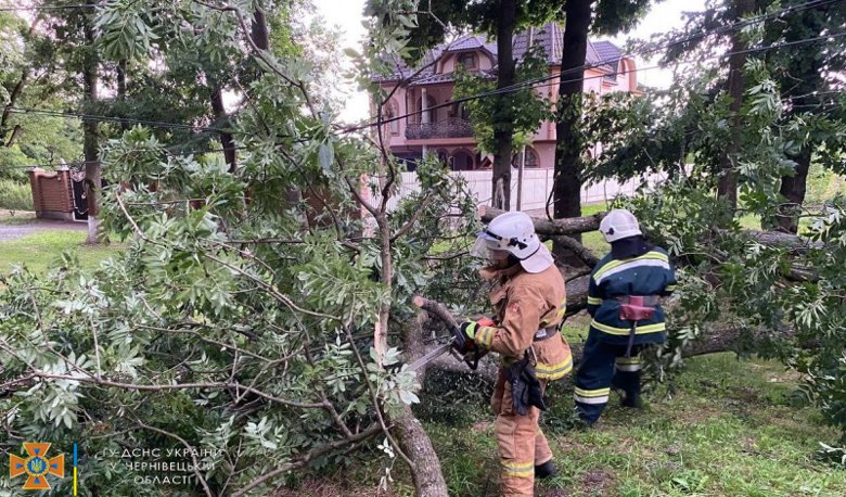 Спасатели за прошедшие сутки оказывали помощь жителям области в преодолении последствий непогоды, вызванной внезапными дождями и усилением ветра.
