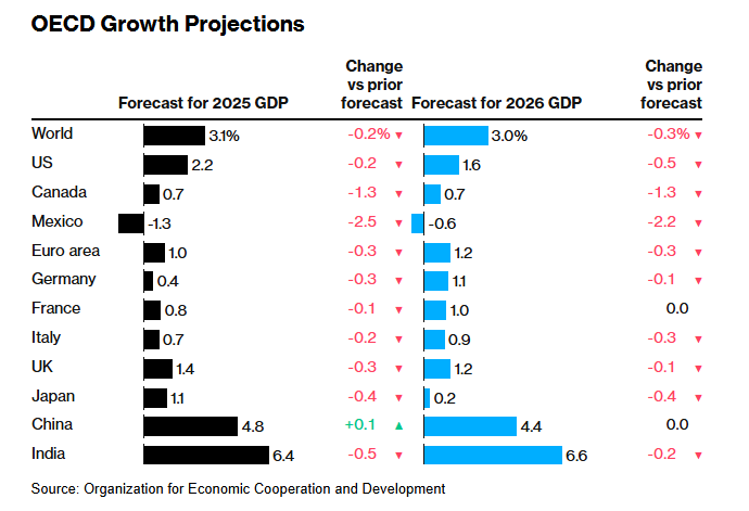 В ОЕСР прогнозують, що темпи зростання світової економіки сповільняться до 3,1 відсотків цього року та до 3 відсотків в 2026-му.