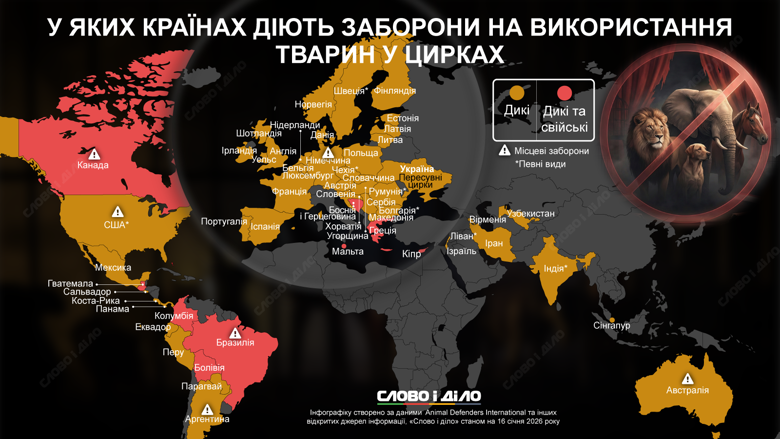 В Україні діє лише заборона на пересувні цирки, тоді як у низці країн вже давно не використовують диких або свійських тварин у циркових виставах. Детальніше – на інфографіці.