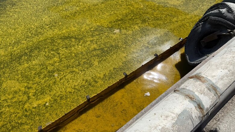 Унаслідок російського обстрілу 26 квітня в Чорноморську Одеської області стався масштабний розлив соняшникової олії в акваторії морського торговельного порту.