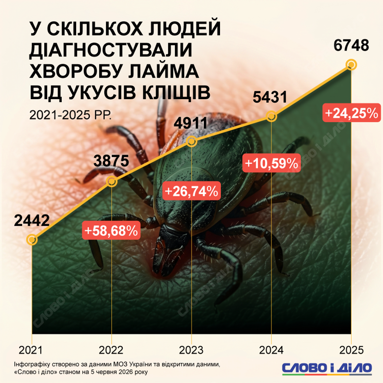 Число случаев болезни Лайма, вызванной укусом клещей, за 5 лет выросло почти втрое. Статистика, симптомы и основные рекомендации на случай укуса – на инфографике.