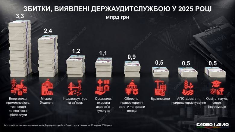 Які збитки та у яких сферах виявила держаудитслужба під час перевірок торік, та скільки підприємств перевіряла з 2019 по 2025 рік – на інфографіці Слово і діло.