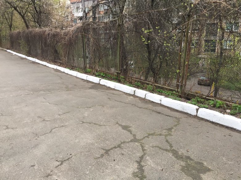 Несмотря на запрет красить деревья и другие элементы благоустройства, в Киеве продолжают белить бордюры.