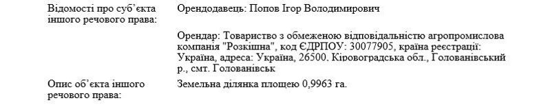 Народный депутат Игорь Попов, чей сын подозревается в совершении разбойного нападения на столичный магазин, является довольно обеспеченным человеком. Квартиры и машина за 1,33 миллиона гривен.