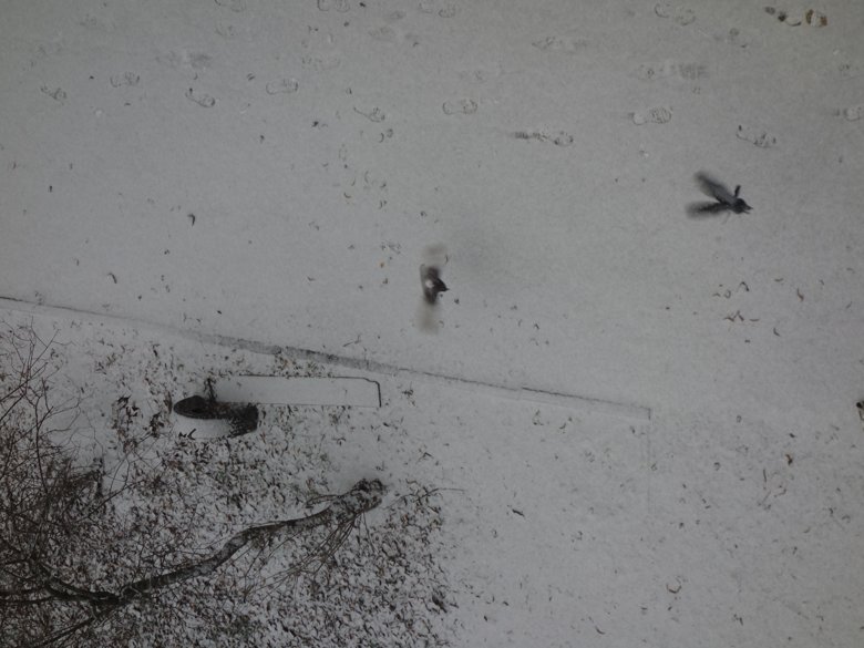 По данным Укргидрометцентра, днем ​​14 ноябрь и ночью 15 ноября по Киевской области и Киеву мокрый снег (образование снежного покрова высотой 3-6 см), на дорогах гололедица.