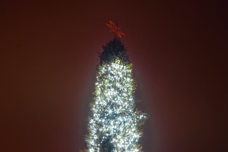 На Софийской площади в Киеве начались работы по оформлению главной новогодней елки Украины.