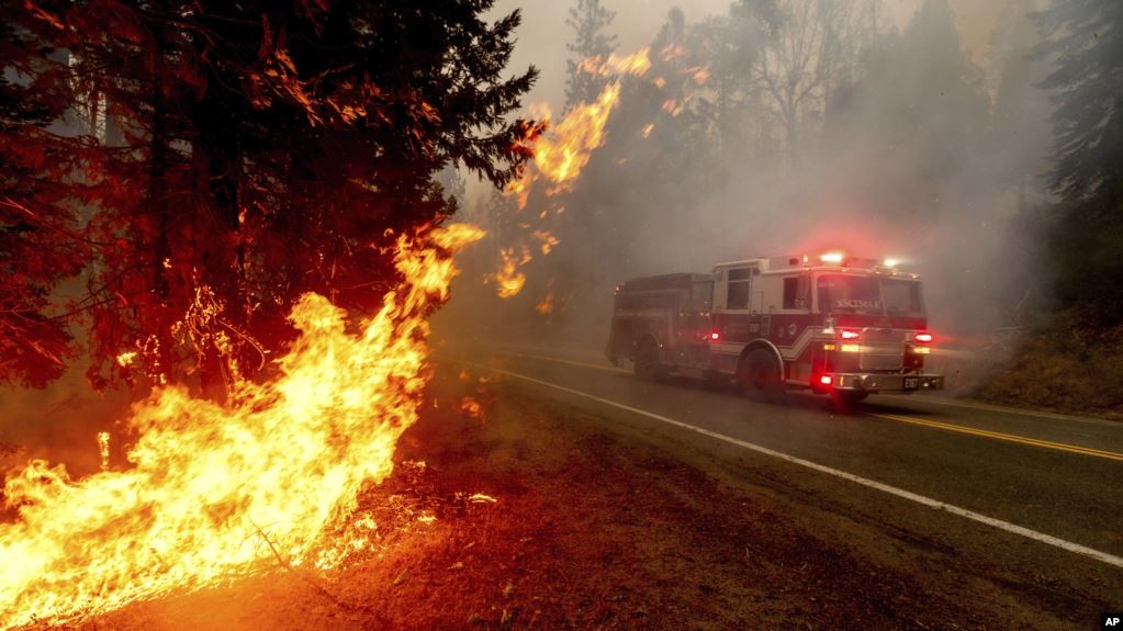 Лісові пожежі в американській Каліфорнії охопили вже майже 1 мільйон гектарів території штату.