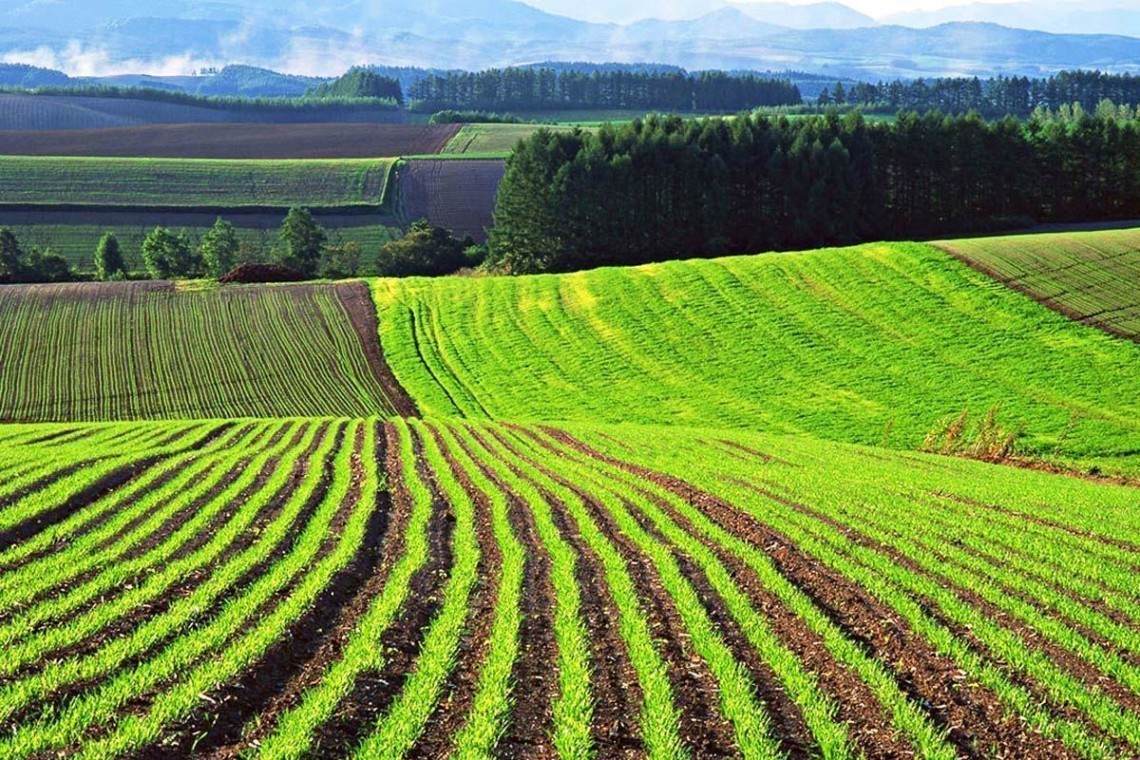 В Україні з моменту запуску ринку землі за місяць зареєстровано нотаріусами вже 3277 земельних угод.