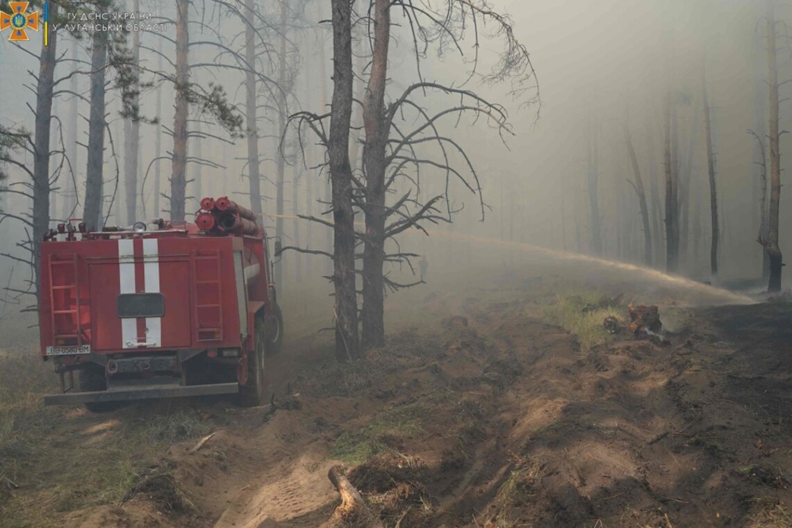 В Луганской области спасатели ликвидировали возгорание в лесу, которое вспыхнуло три дня назад.