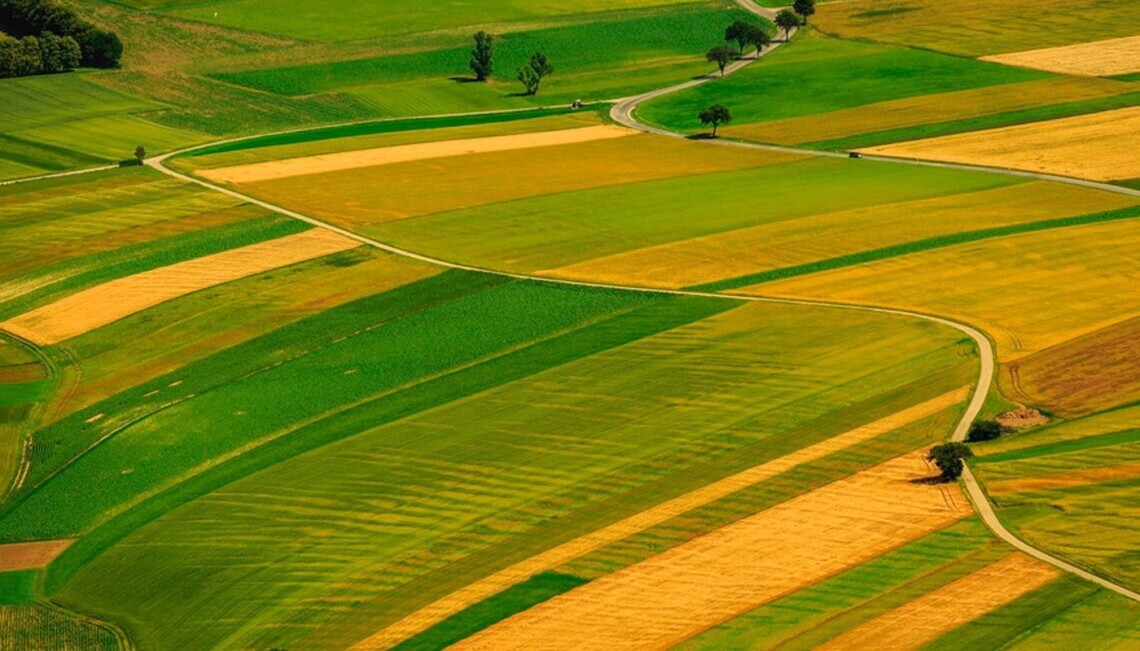 В Україні за три місяці з 1 липня і до 1 жовтня було продано вже понад 58 тисяч гектарів сільгосп землі.