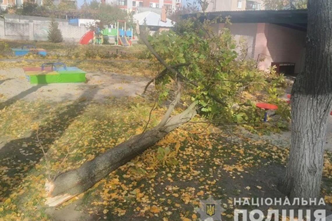 У місті Кременчук в дитячому садку на двох дітей впало дерево. Ще одне дерево травмувало людину в Одесі.