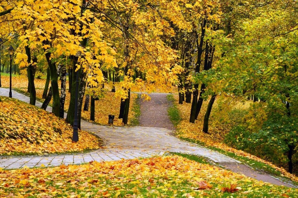 Сьогодні, 24 жовтня, в Україні очікують прохолодний, вітряний та переважно без опадів день.