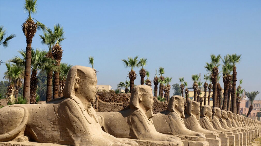 В Египте в Луксоре состоялась церемония открытия после реставрации так называемой Дороги фараонов – древней Аллеи сфинксов.