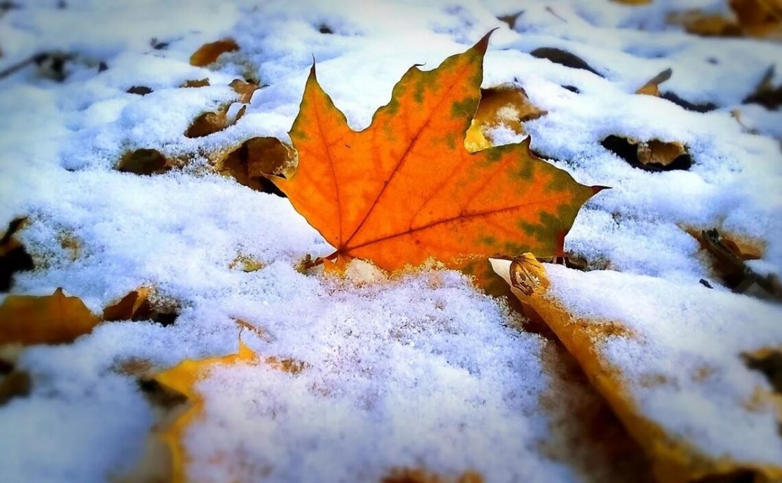 У перший день зими, 1 грудня, в Україні йтиме сніг у західних та північних регіонах, а на півдні температура сягатиме +8 градусів.