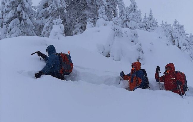 Рятувальники попередили про можливе сходження лавин у Карпатах. Небезпека виникла через сильні снігопади.