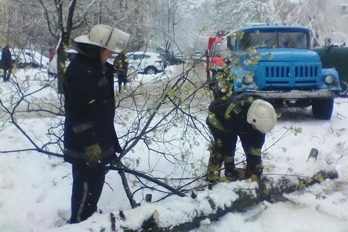 У Київській та Львівській областях знеструмлено 56 населених пунктів через негоду, повідомили у Державній службі з надзвичайних ситуацій.