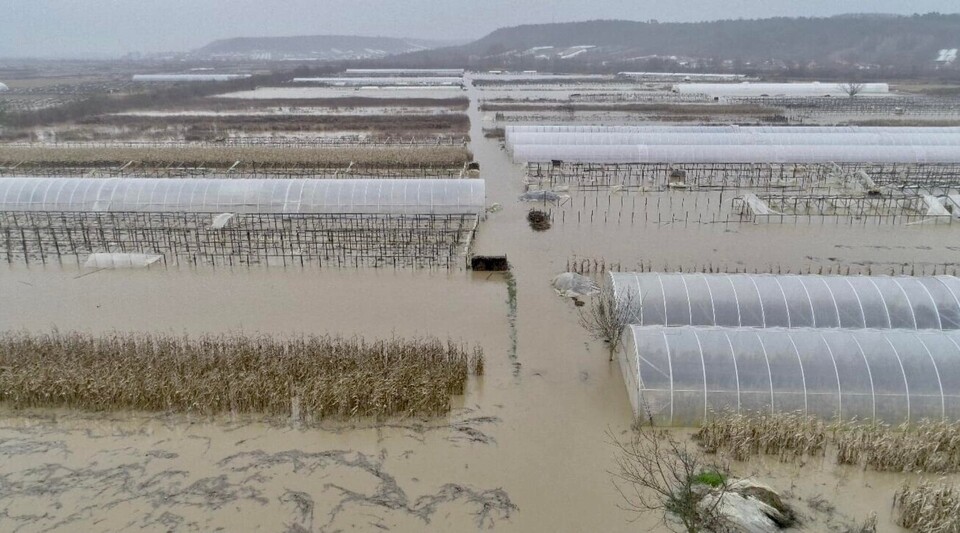 В Закарпатской области паводок уже подтопил более 300 дворохозяйств, вода перелилась через дороги местного значения и затопила тепличные хозяйства в селе Ольховка.