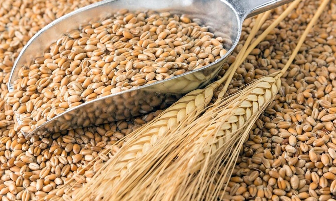 США и ООН в рамках ликвидации продовольственного кризиса и помощи Украине в экспорте зерна изучают несколько вариантов маршрутов транспортировки зерна