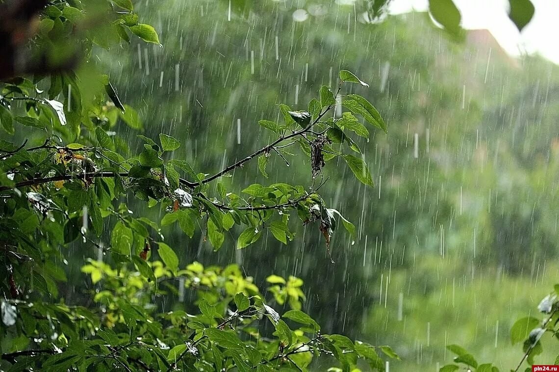Погода в Україні 31 травня - в яких областях йтиме дощ » Слово і Діло