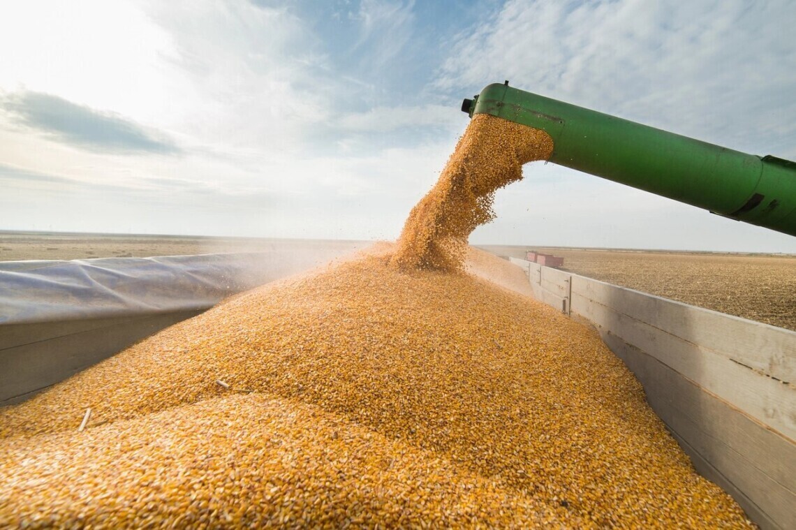 Штаты предупредили 14 стран, преимущественно в Африке, о том, что россия попытается продать им украденное украинское зерно.