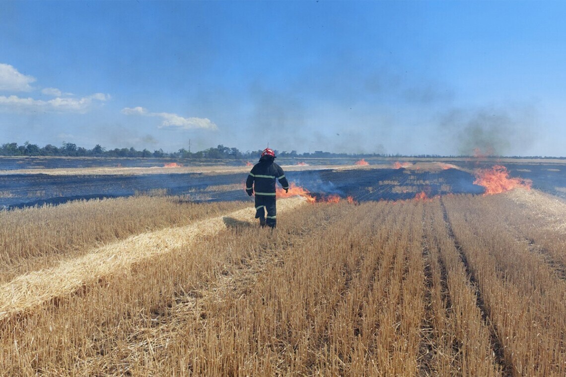 На Харьковщине в результате вражеских обстрелов уже пострадали 39 сельхозпредприятий, сгорело более 180 га пшеницы.
