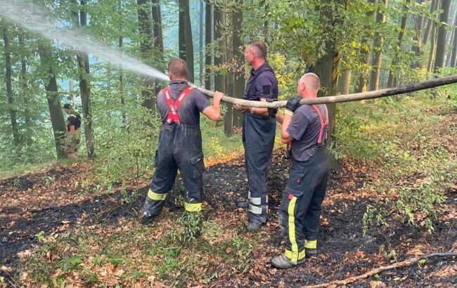 Рятувальники ДСНС ліквідували масштабну лісову пожежу на горі Савчин у Закарпатській області, яку не могли загасити три дні.