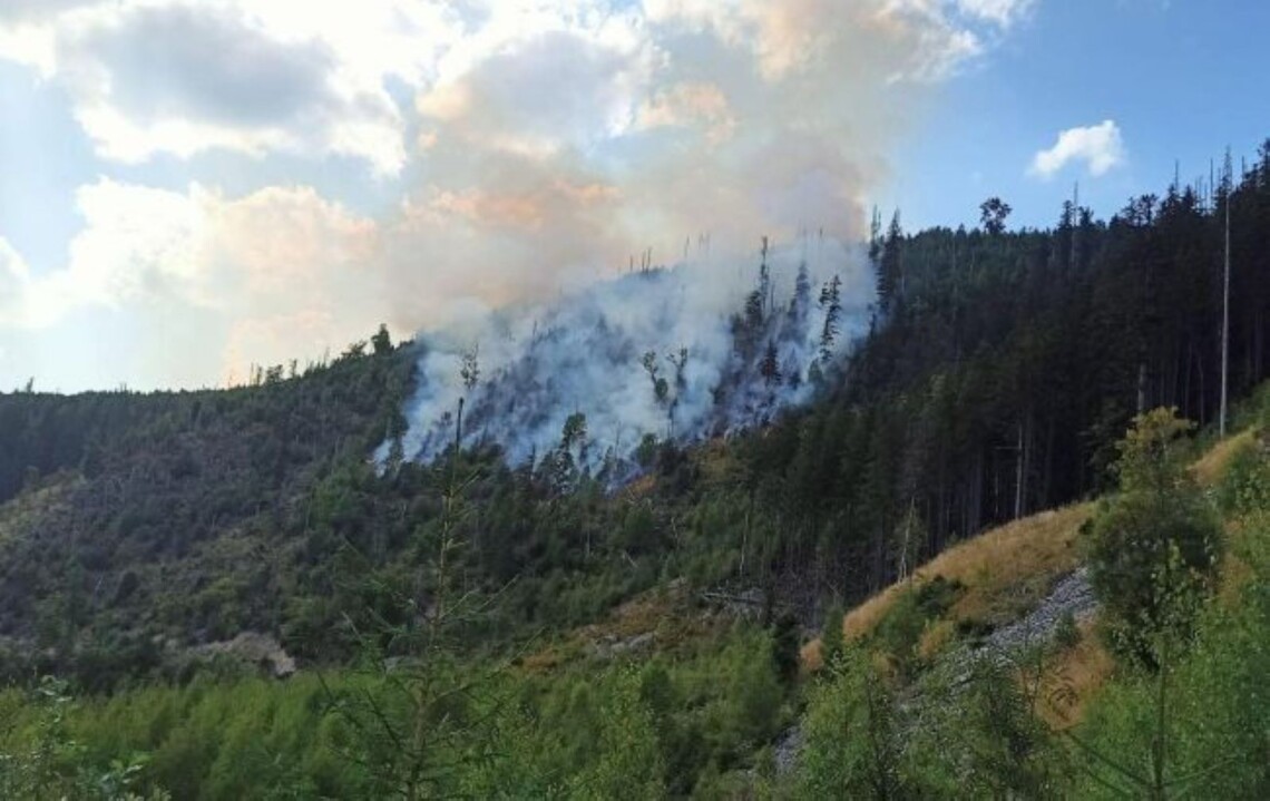 На території Свічівського лісництва на Прикарпатті другий день триває ліквідація лісової пожежі.